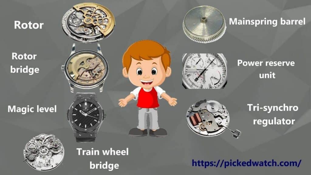 How Does A Seiko Spring Drive Watch Work? The Truth Revealed!