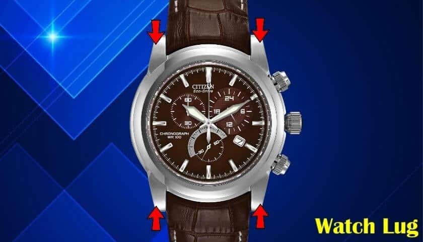 What is Watch Lug | Everything You Need to Know