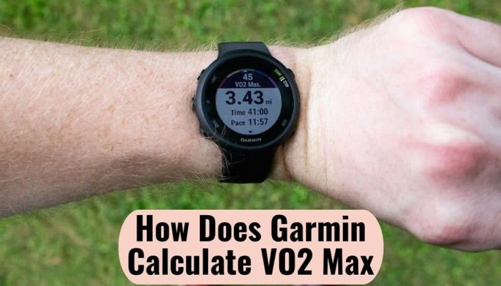 how-does-garmin-calculate-vo2-max-picked-watch