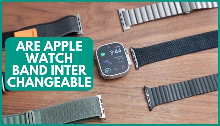 Are Apple Watch Band Interchangeable? [know the Answer from Expert]