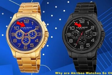 Why are Akribos Watches So Cheap | Should You Get One?